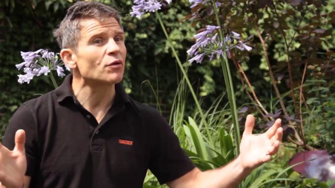 What are BioSOLAR Roofs?