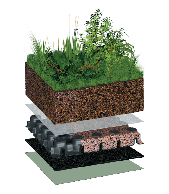 BauderINTENSIVE with Garden Landscaping