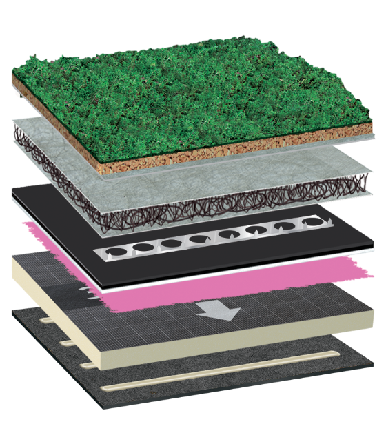 BauderGREEN Sedum System