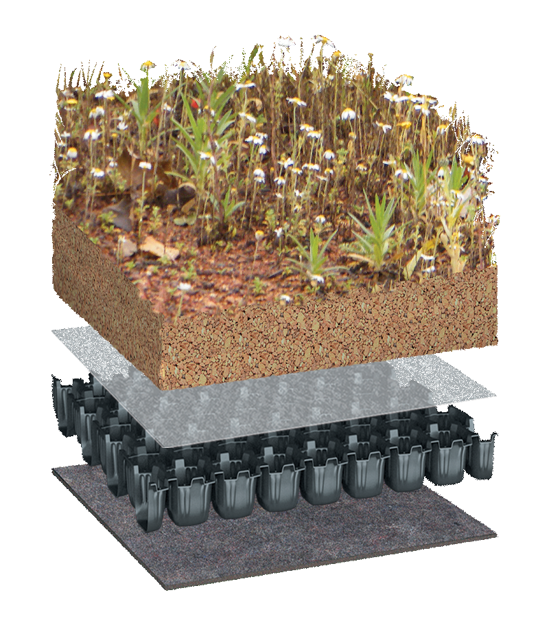 BauderBIODIVERSE Systems - Bauder