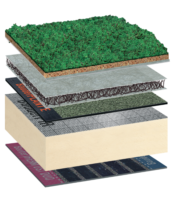 Bauder Total Green Roof System (BTGRS) 