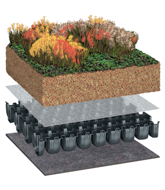 BauderEXTENSIVE PLANTsubstrate