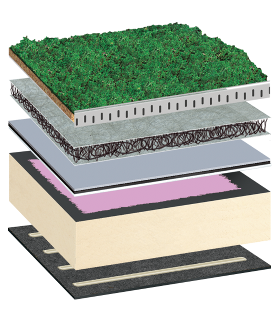 BauderGREEN XF 301 Sedum System