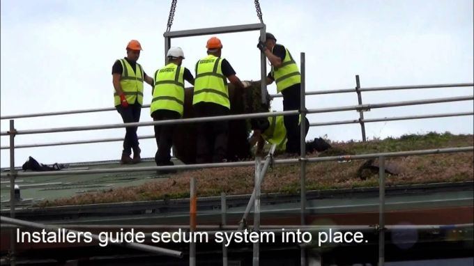 R&A Equipment Testing Centre sedum roof installation