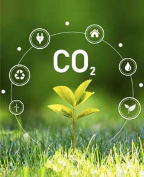 Organisational Carbon Footprint Report 2024