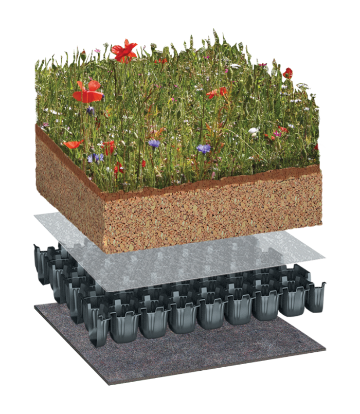 Green Roofs