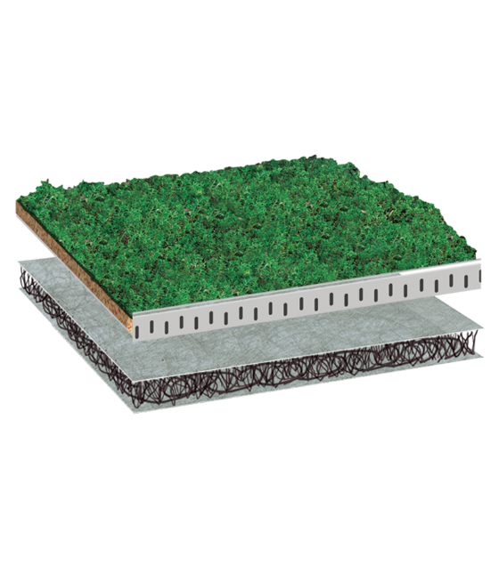 BauderEXTENSIVE LIGHTWEIGHTsedum 