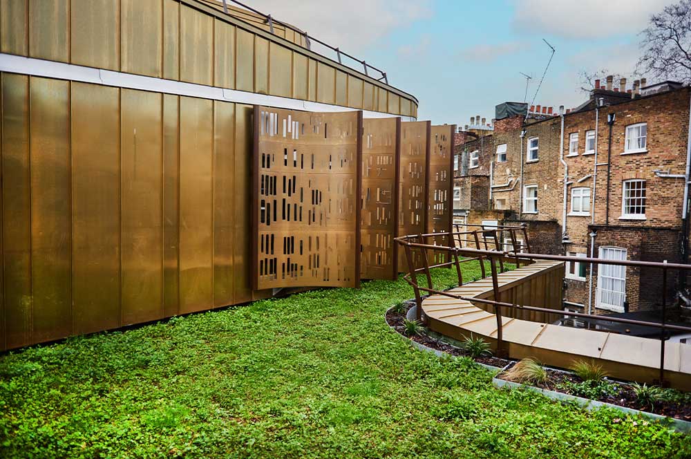 Modern architectural rooftop with wildflower blanket to provide environmental benefits