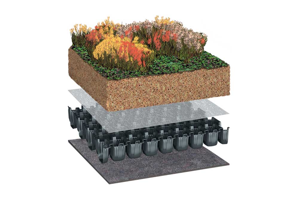 BauderEXTENSIVE PLANTsubstrate