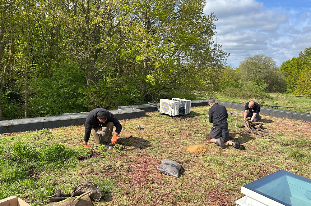 Bauder revisits children's hospice project to boost biodiversity