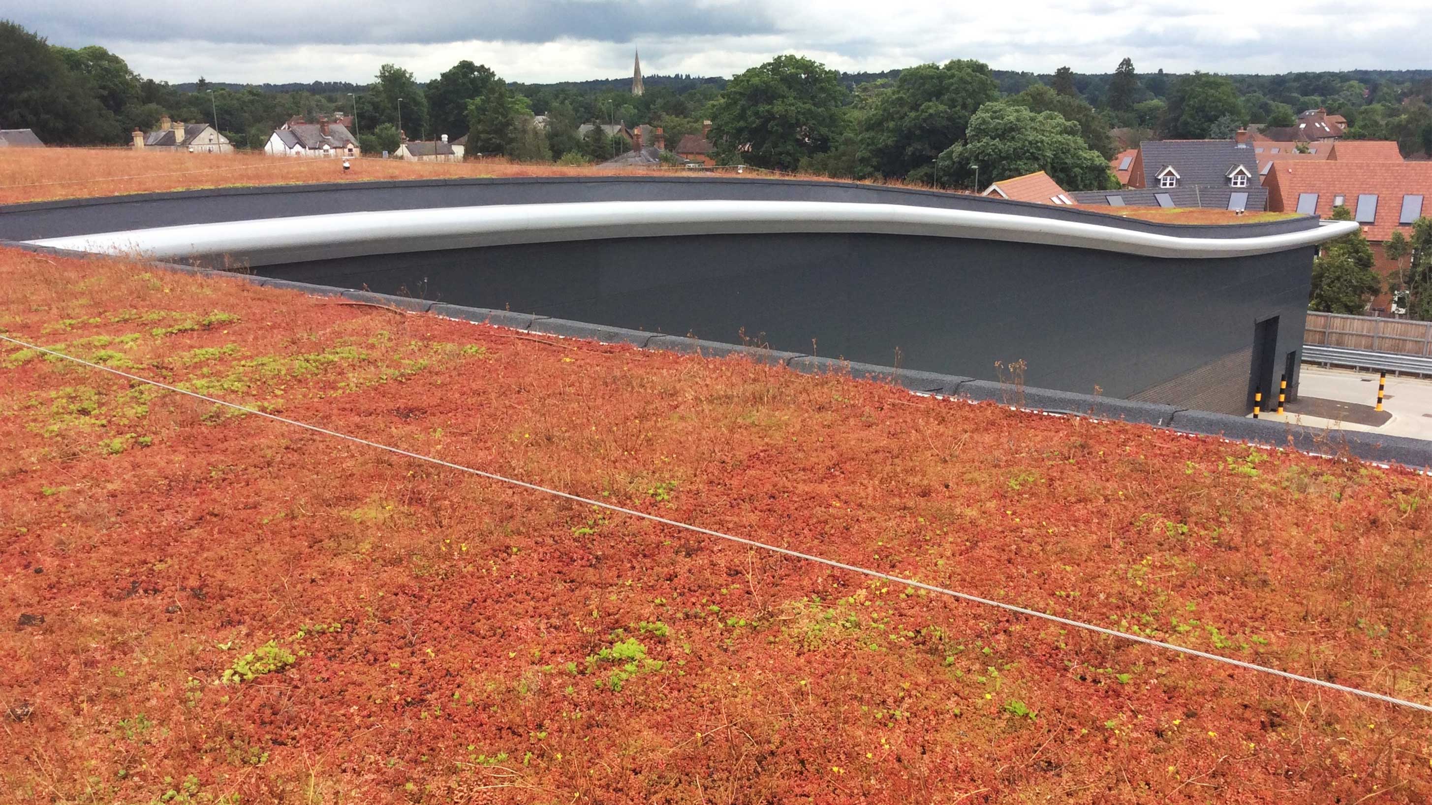 Rooftop with Bauder Total Green Roof System installed