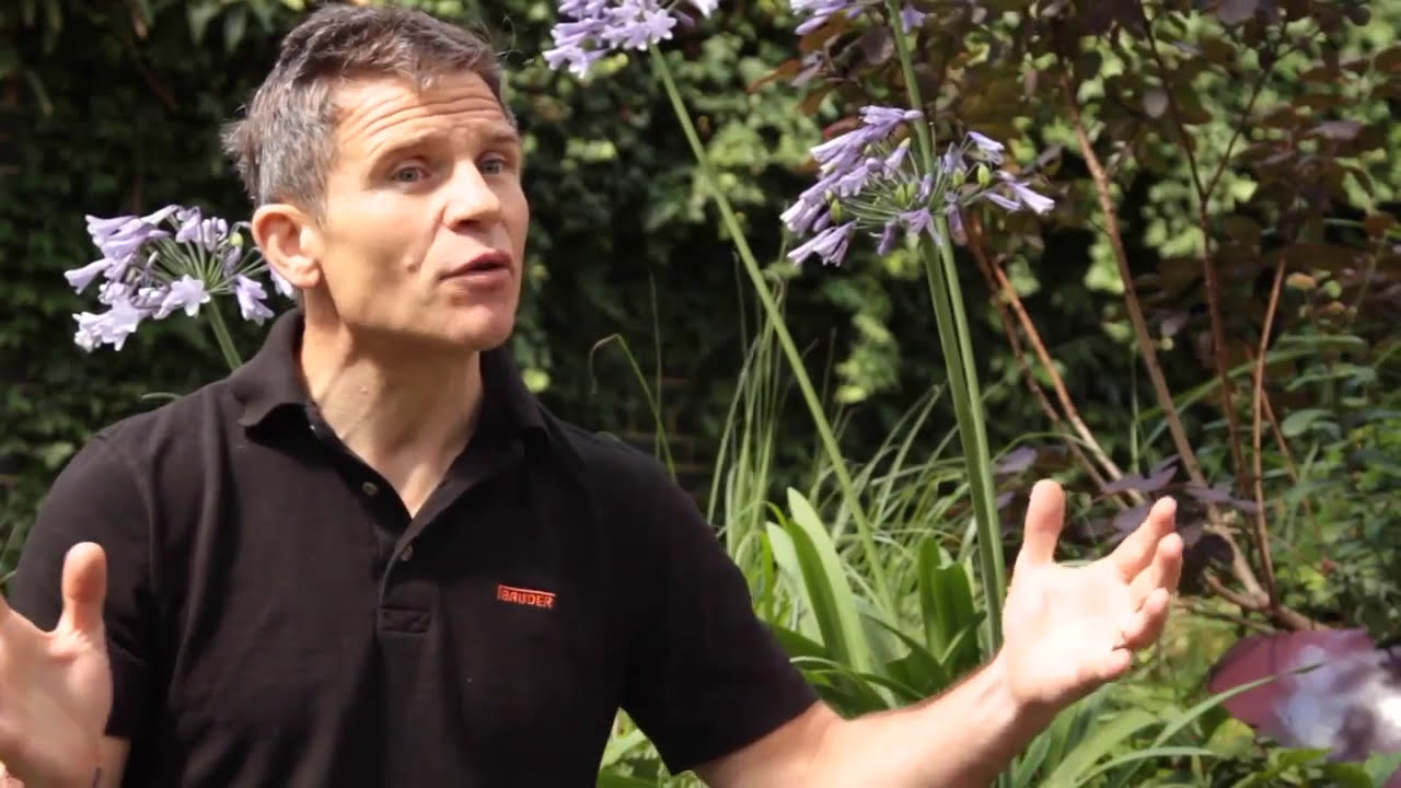 man sitting by native wildflowers with arms open