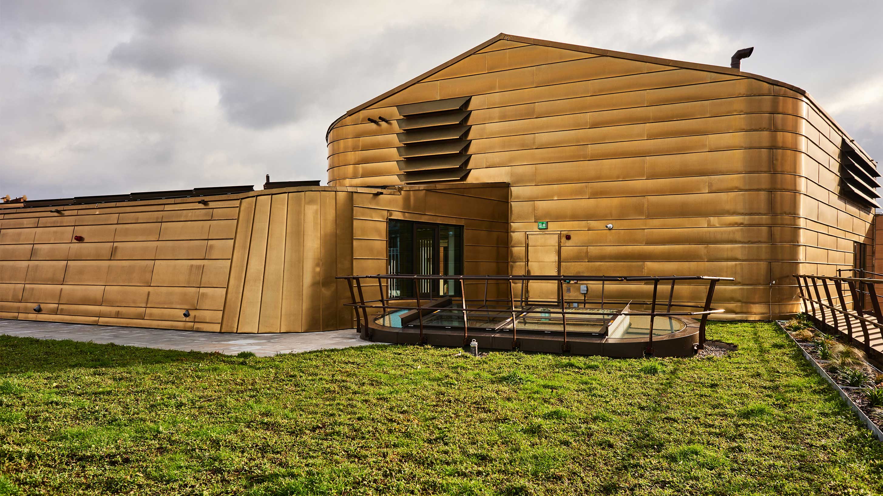 Modern architectural rooftop with wildflower blanket to provide environmental benefits