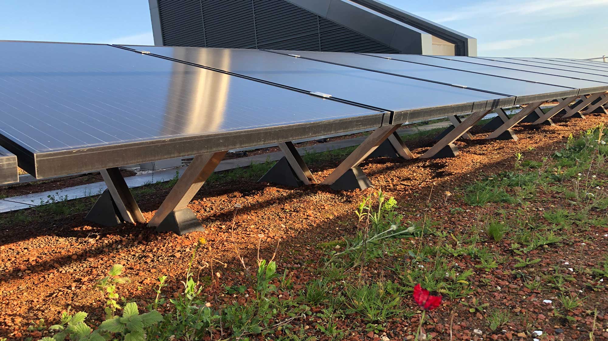 Cambridge University, Department of Civil Engineering with BauderSOLAR G Light