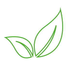 Environmental Pillar