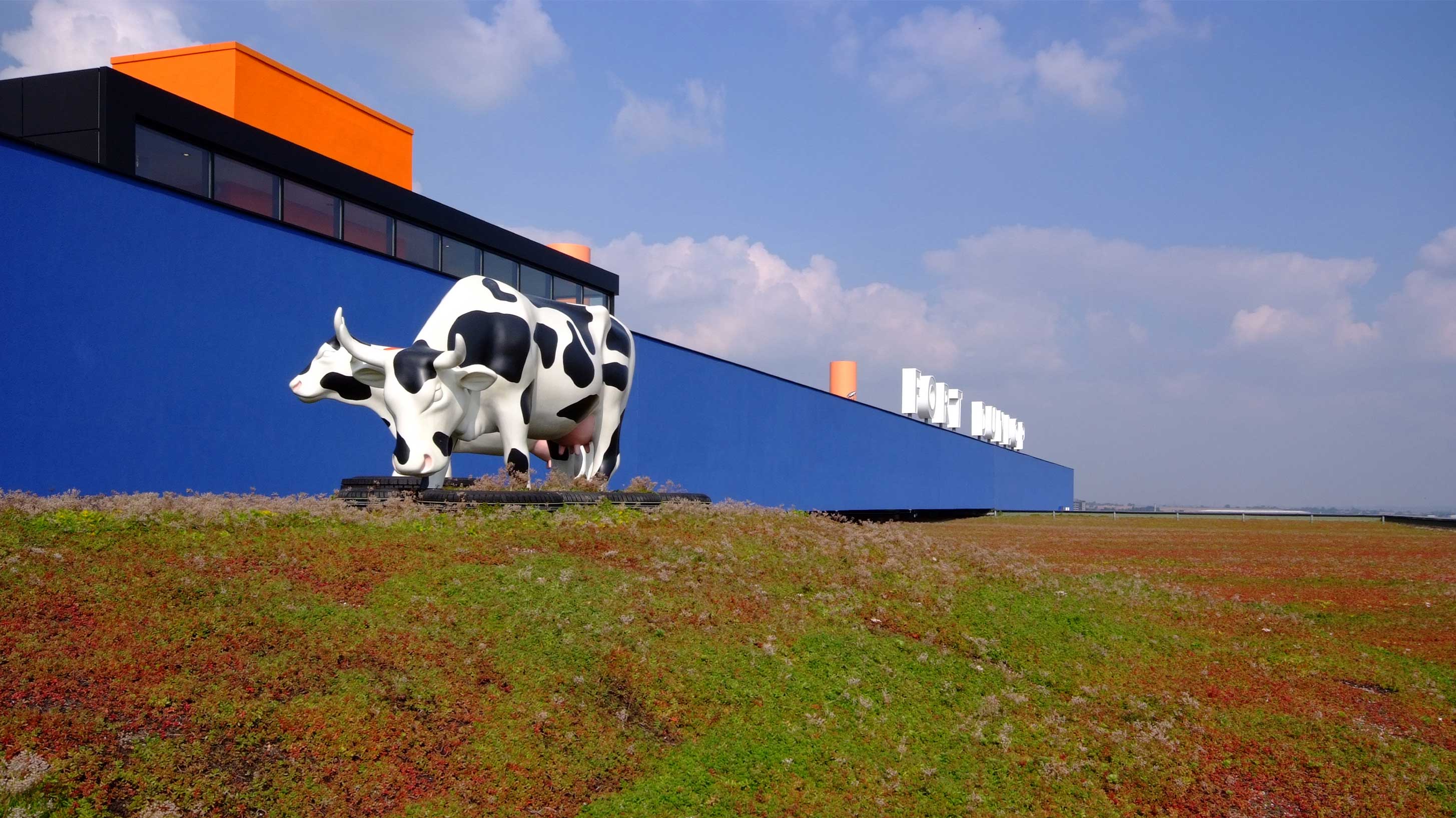 Fort dunlop with green sedum system, a cow statue sits nearby