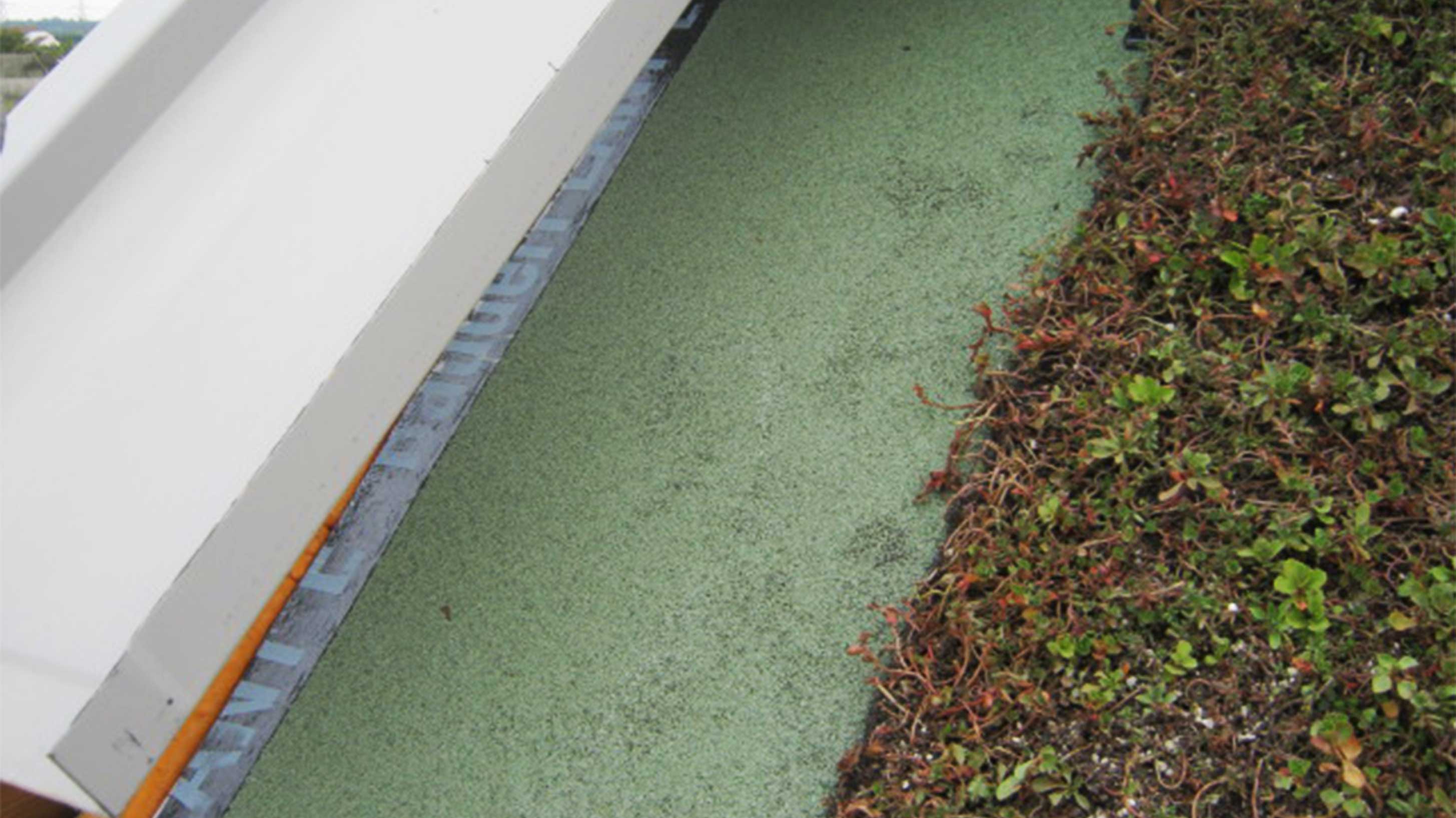 Royal Opera House BauderGREEN Sedum System with Bauder Total Green Roof System