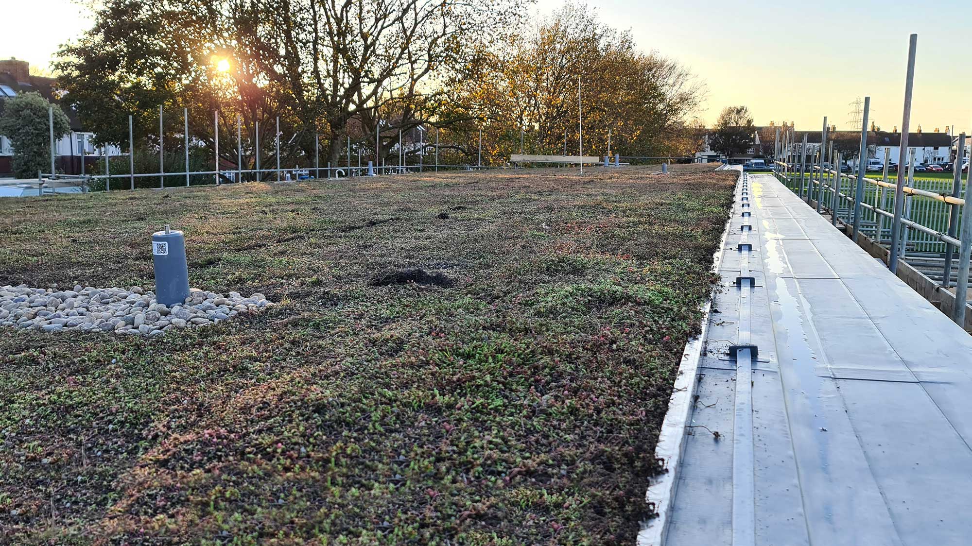 Rooftop of Victoria Road Sports Pavilion showing Bauder green xf 301 sedum system