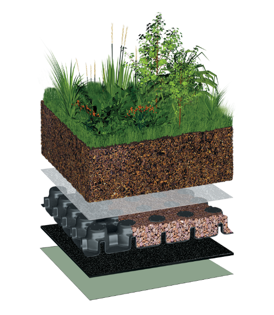 BauderINTENSIVE with Garden Landscaping