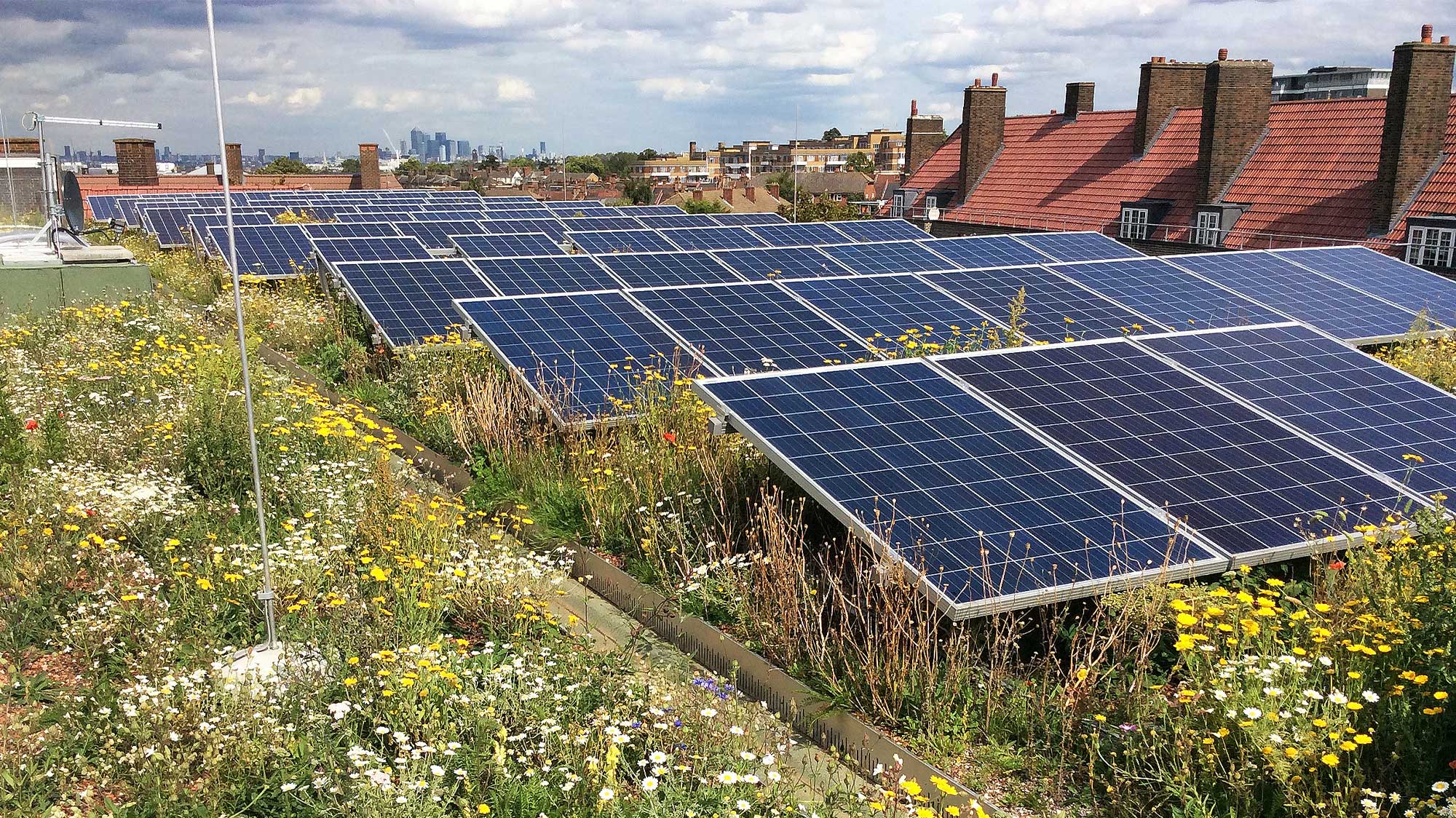 Clapham Park with Bauder Total Green Roof System and SOLAR G Light