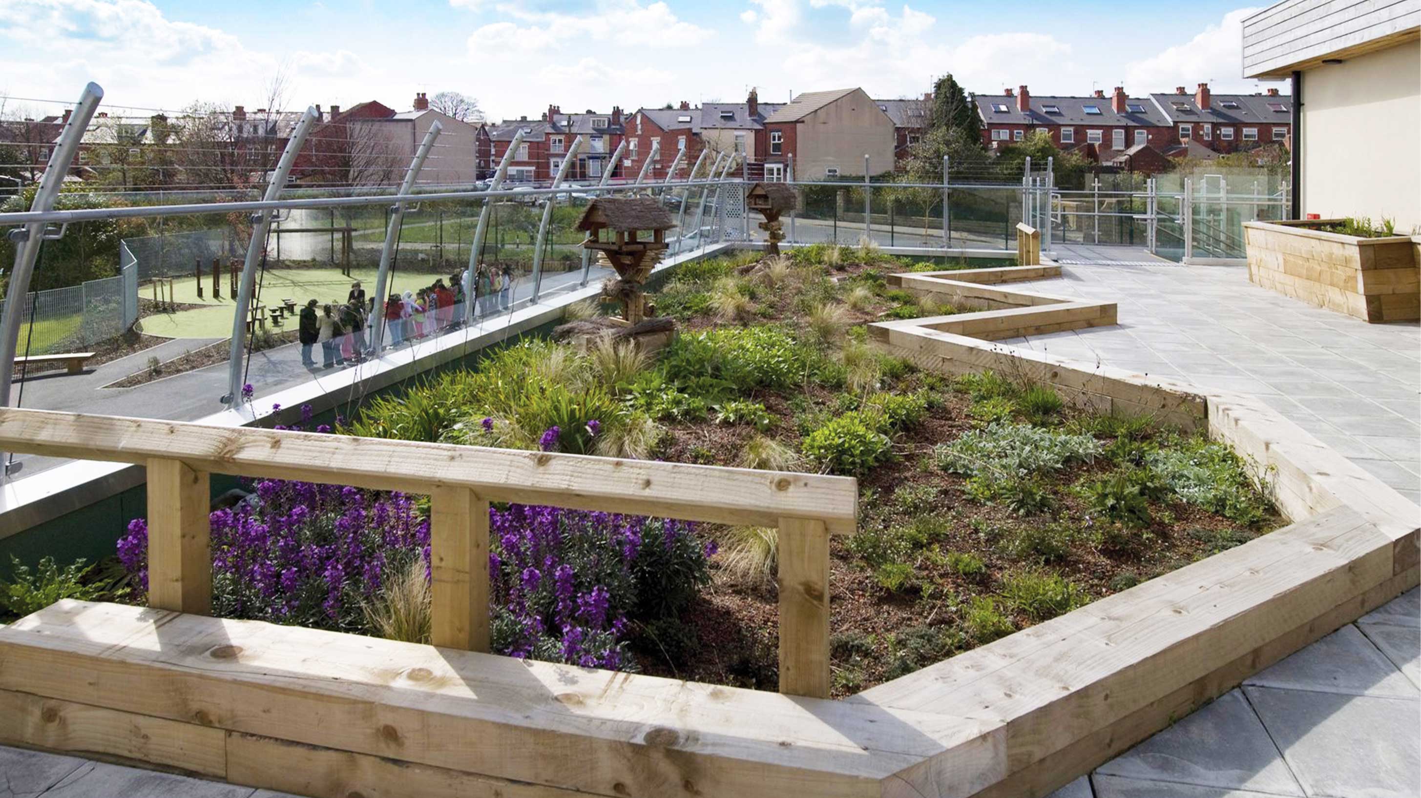 Sharrow Primary School rooftop section with decking and greenery
