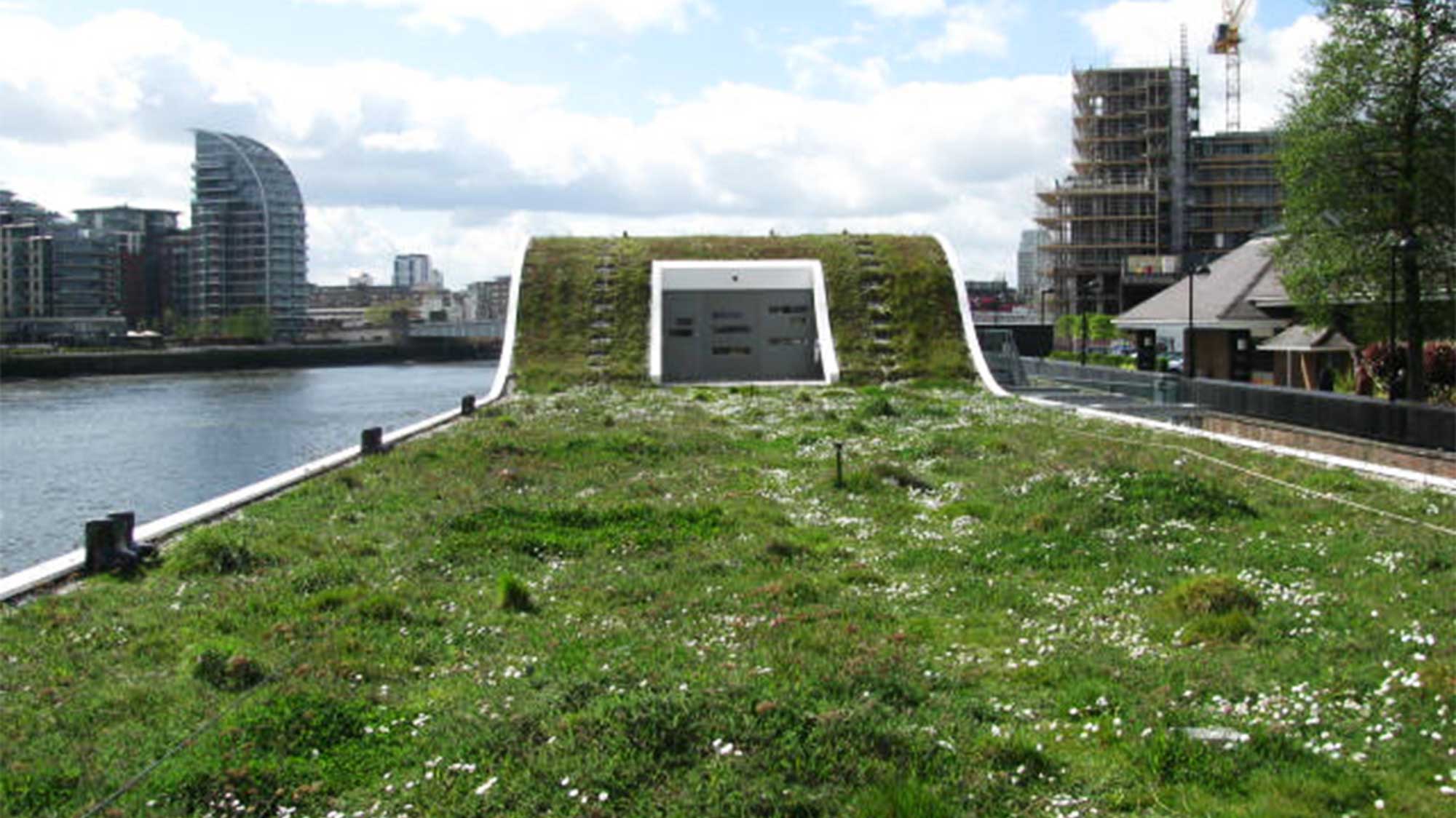 Fulham jetty, landscape view of BauderGreen sedum