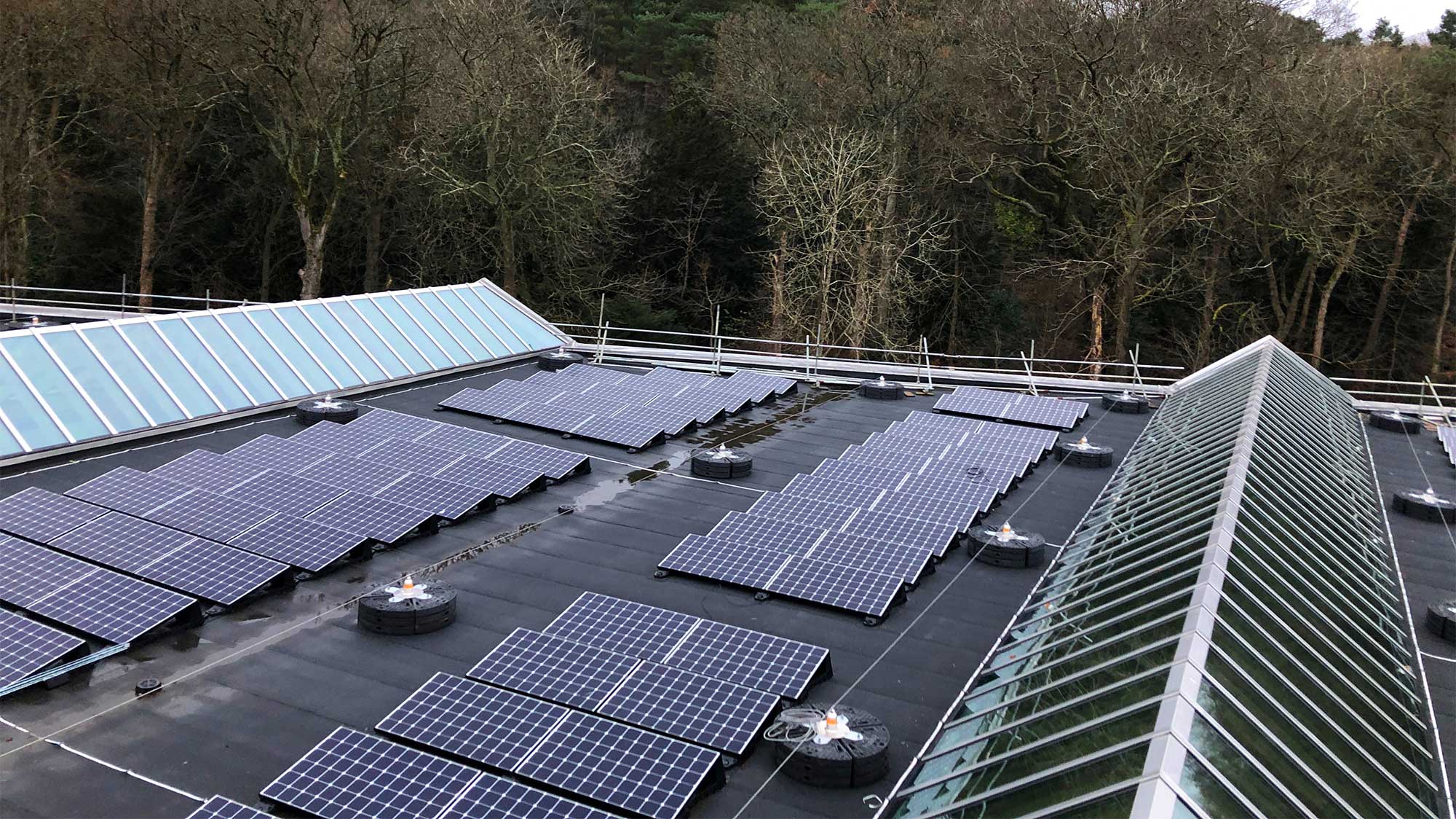 Array of solar panels on The Burrell Collection's roof
