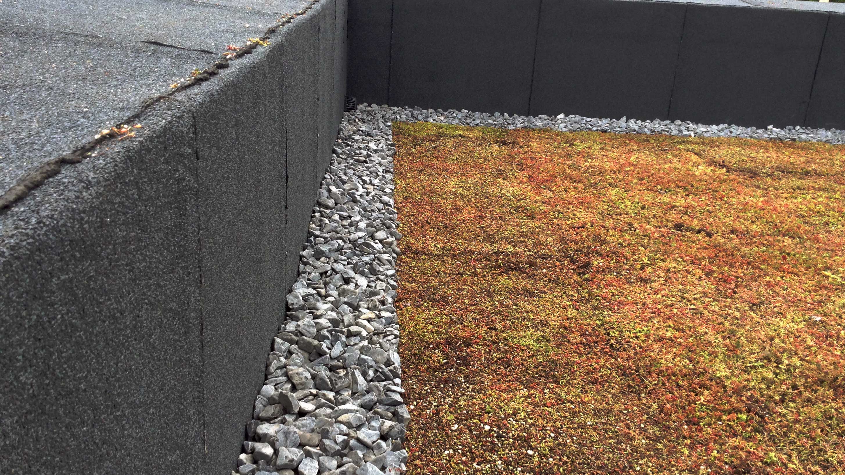 Roof of Ostro Passivhaus with Bauder Total Green Roof System installed with BauderGREEN XF 301 Sedum blanket