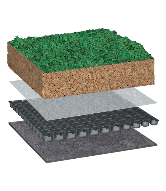BauderEXTENSIVE SEDUMsubstrate