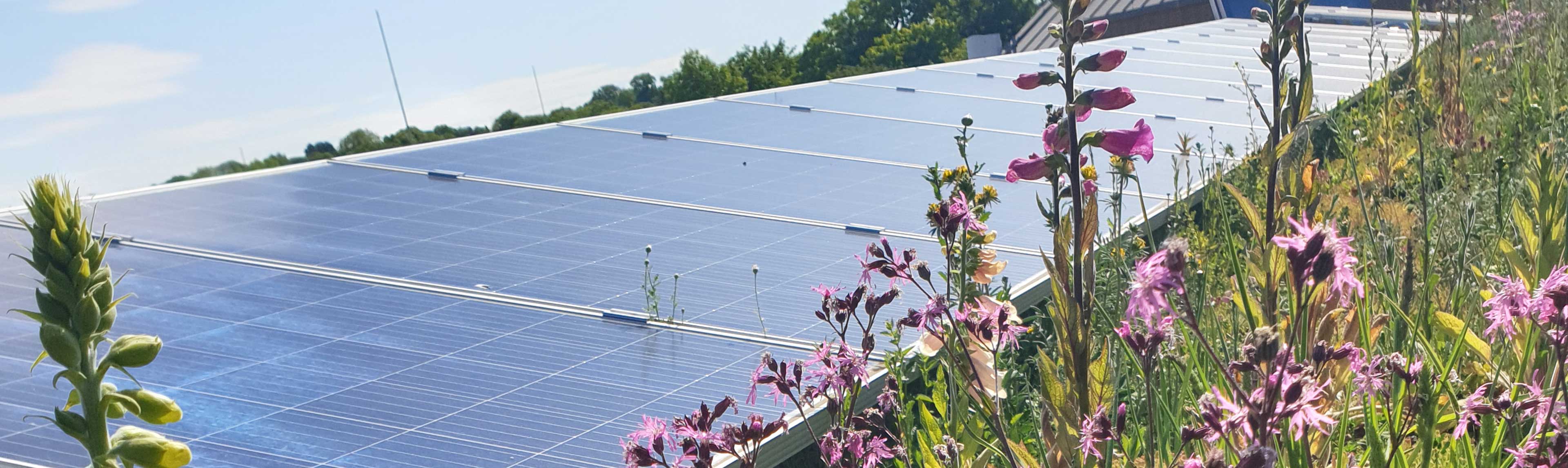 Noah's Ark biosolar roof for biodiversity and solar PV renewable energy