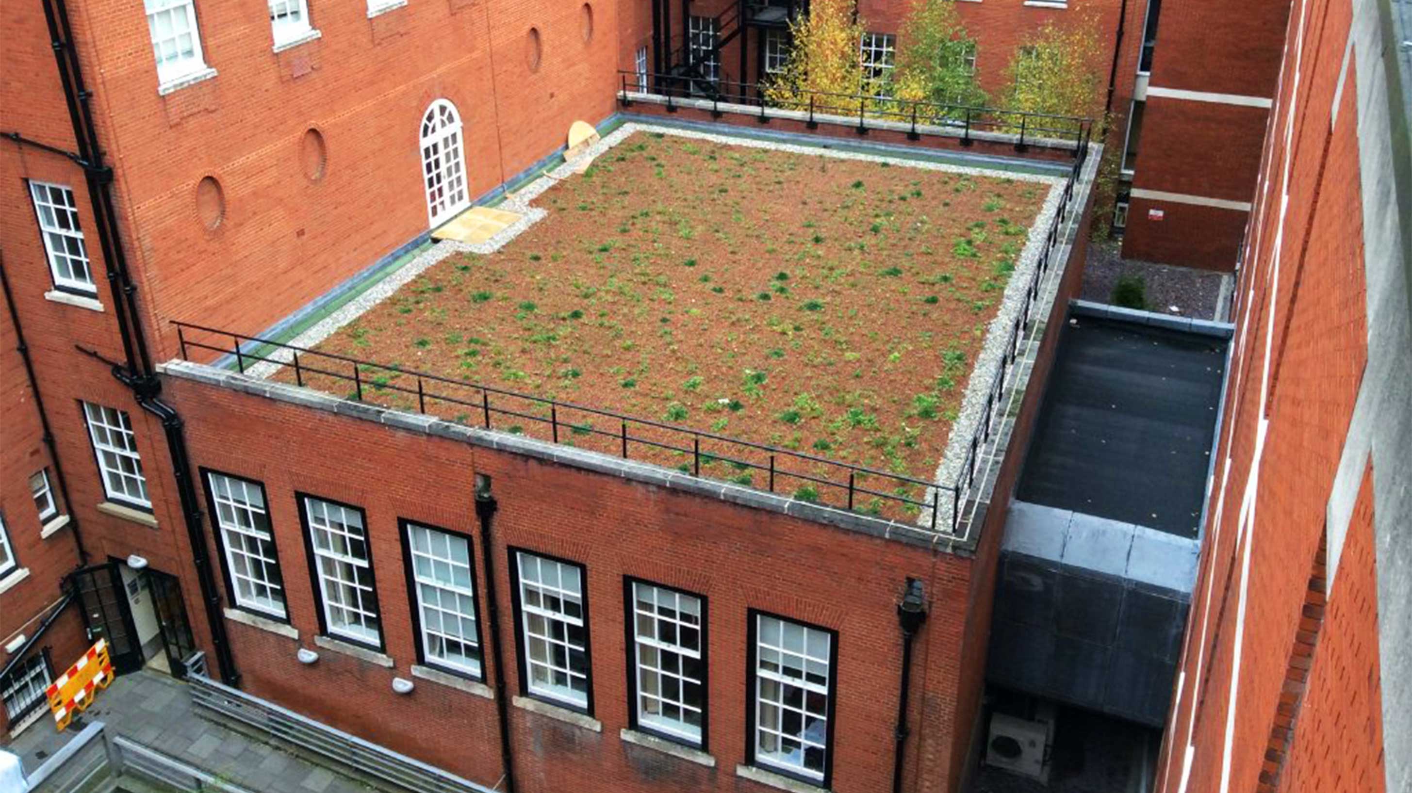 University of Manchester roof with Bauder Total Green Roof System installed