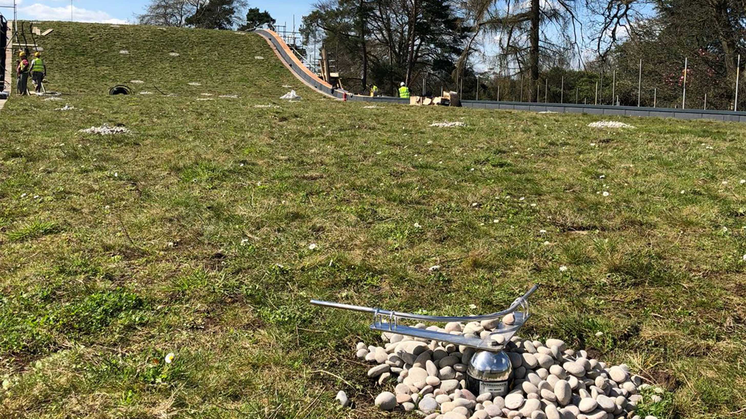 Watering system for wildflower biodiverse roof