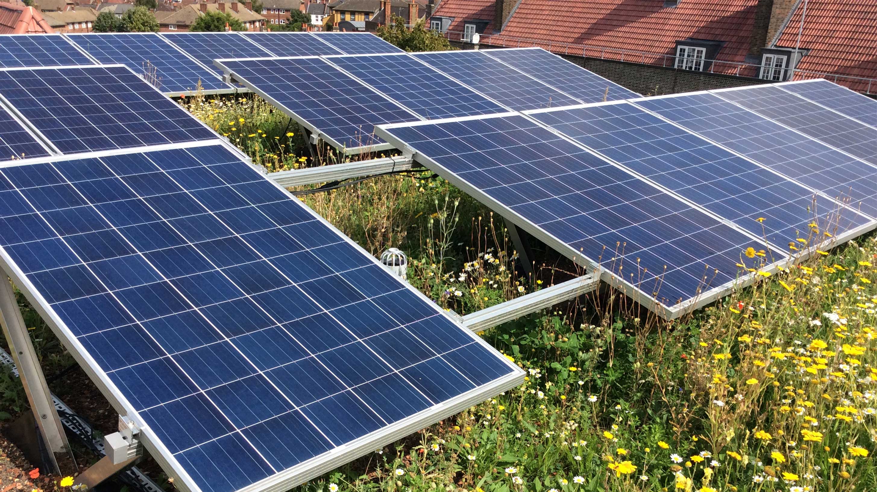 Clapham Park with Bauder Total Green Roof System and SOLAR G Light
