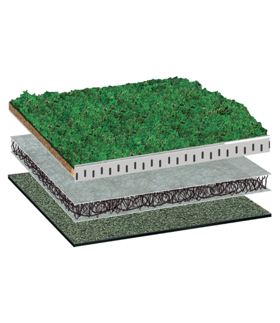 BauderGREEN XF 301 Sedum System