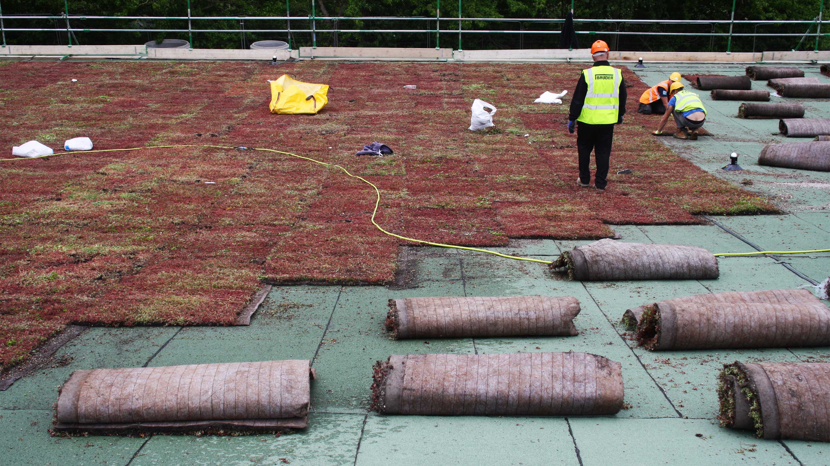 rooftop with bauder green sedum system being installed