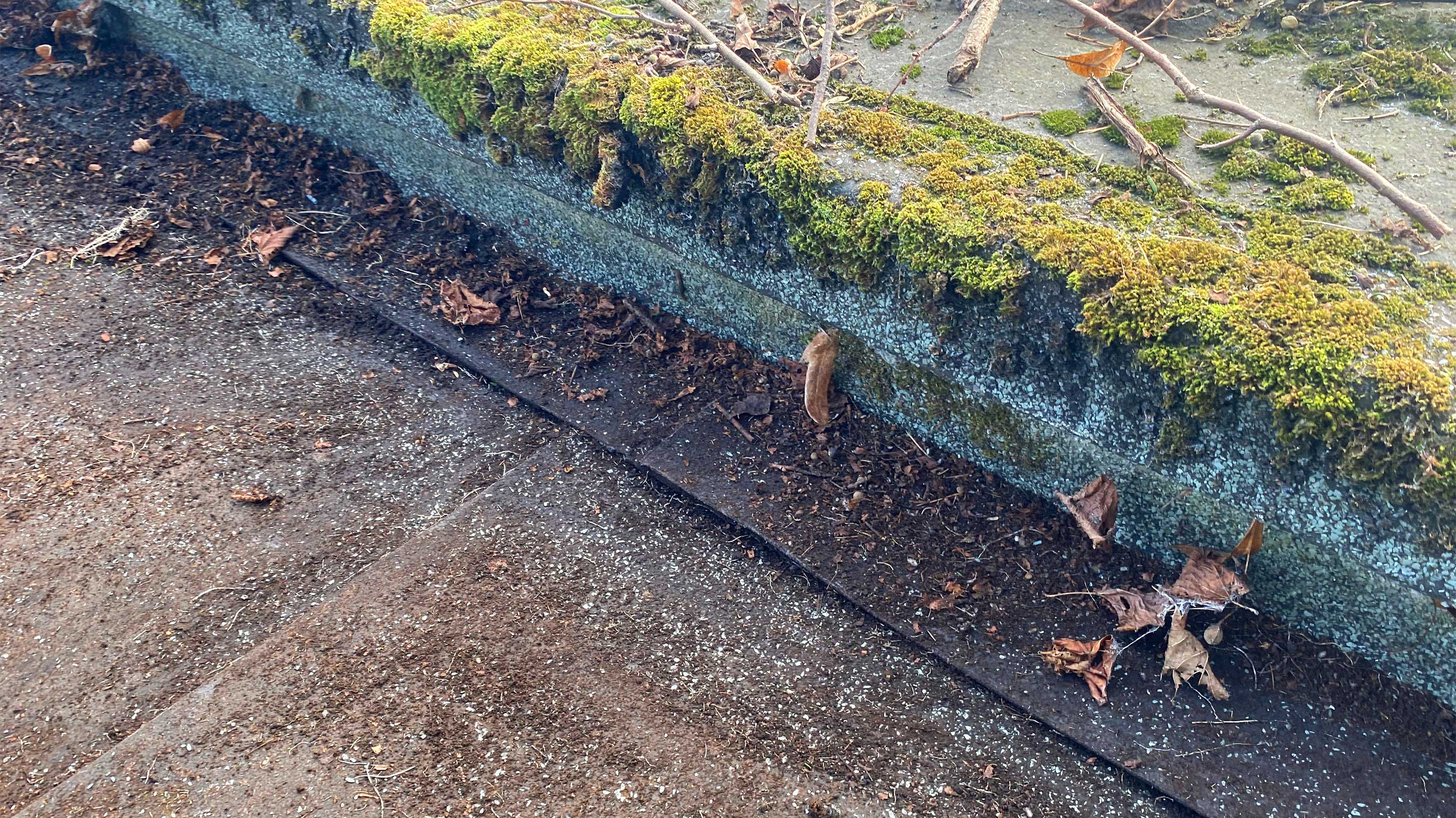 Vandalised roof top