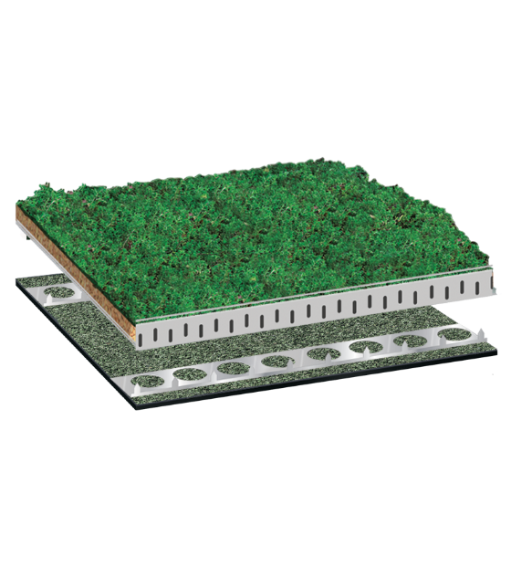 Bauder Total Green Roof System (BTGRS)