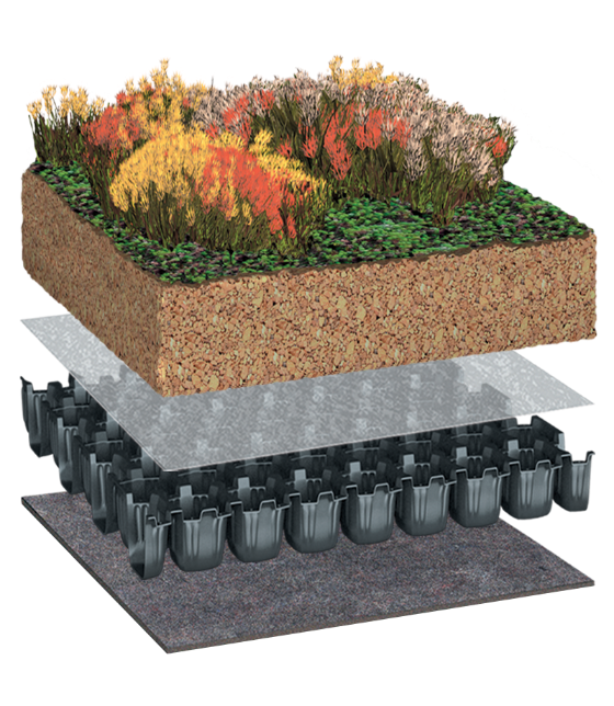 BauderEXTENSIVE PLANTsubstrate