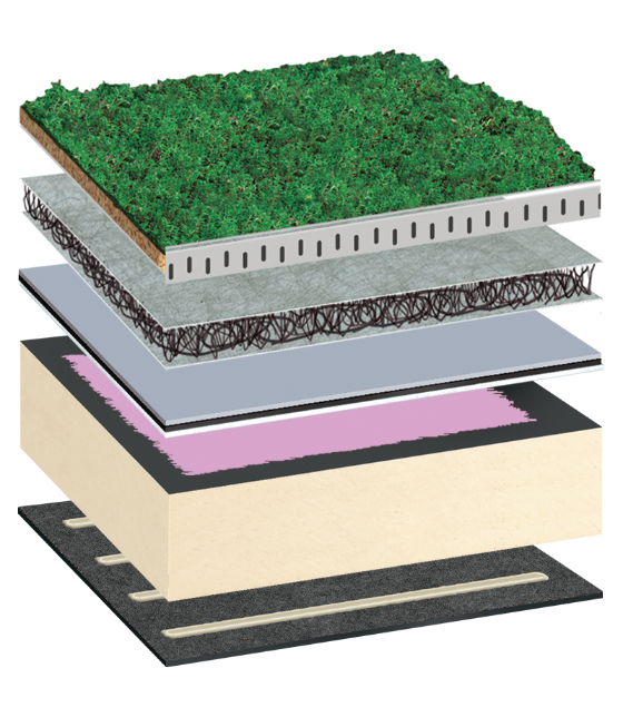 BauderGREEN XF 301 Sedum System