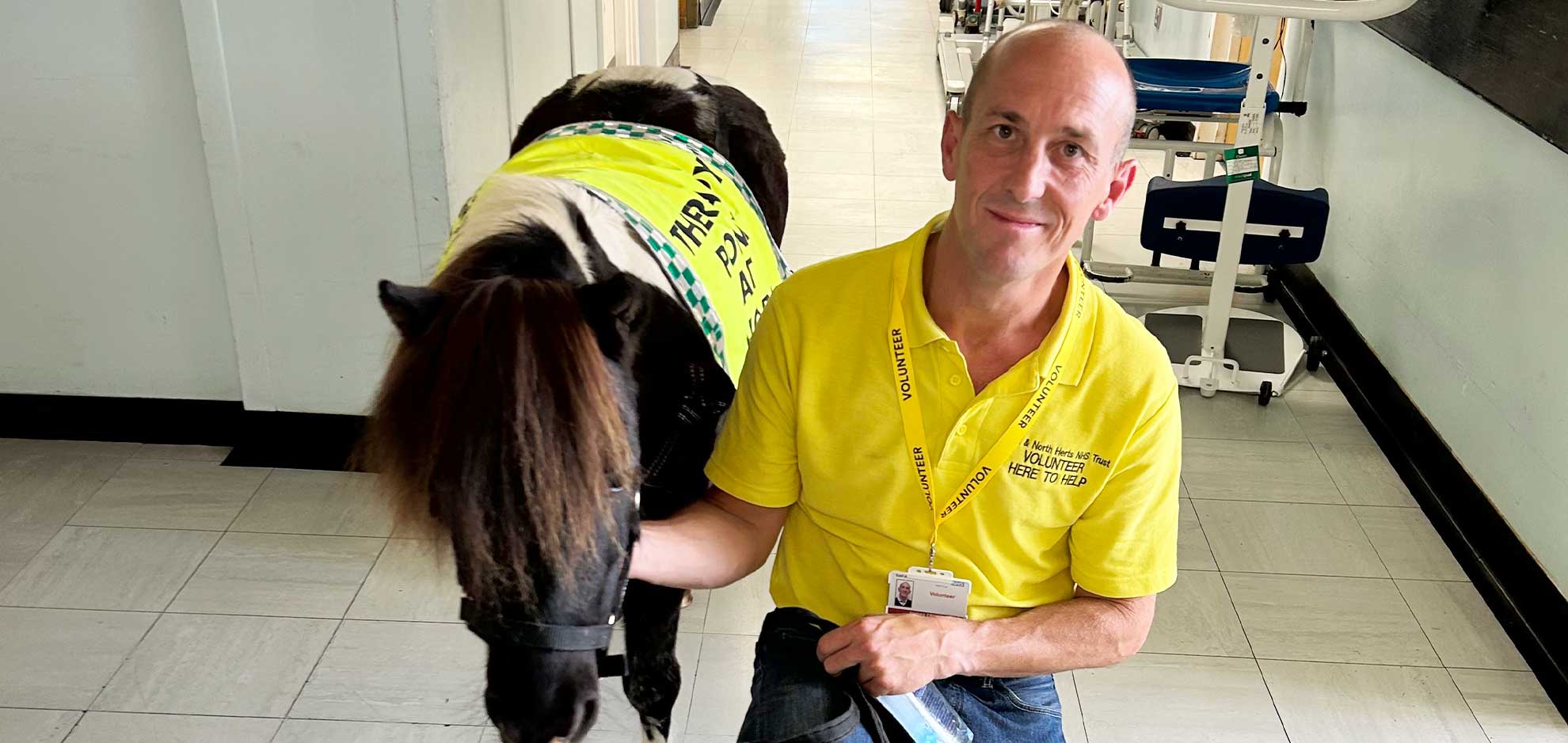 Supporting therapy pony visits at Lister Hospital