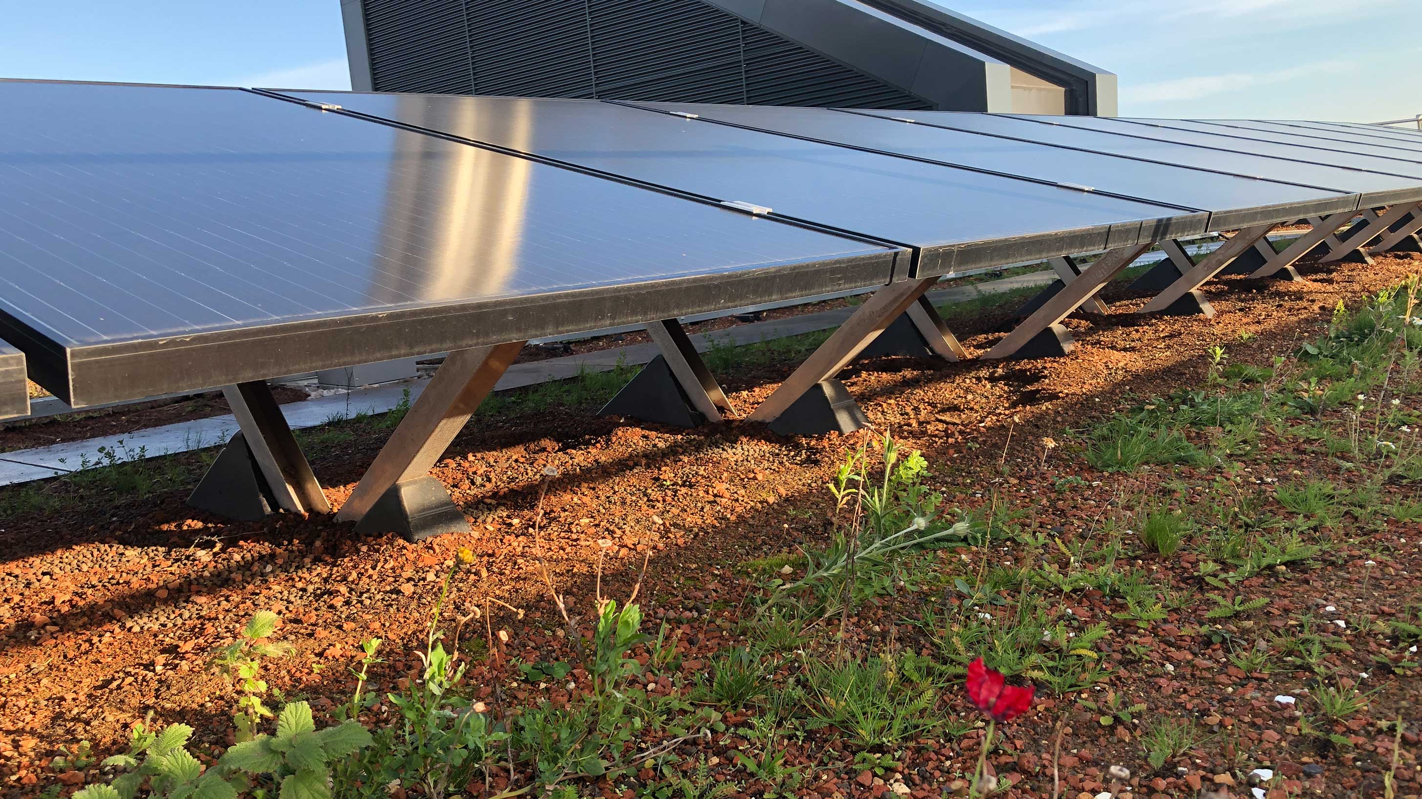 Cambridge University, blue and roof, with bio-solar PV