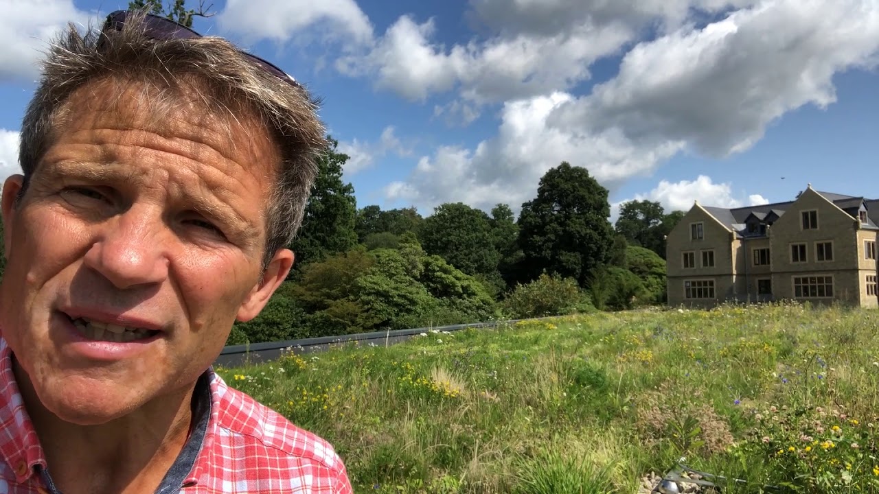 Up on the wildflower roof at South Lodge Hotel