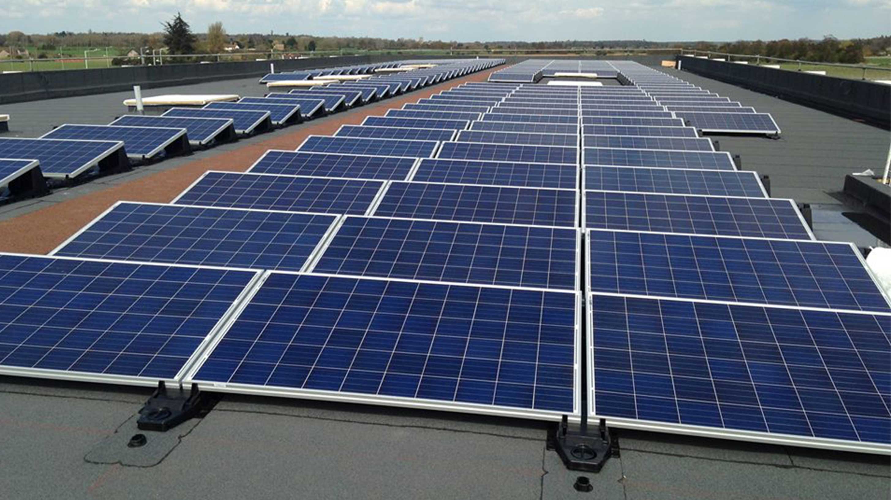 Sybil Andrews Academy rooftop with array of solar PV systems