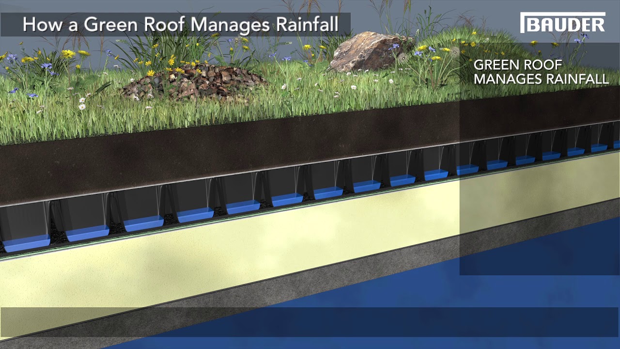 How a green roof attenuates rainwater