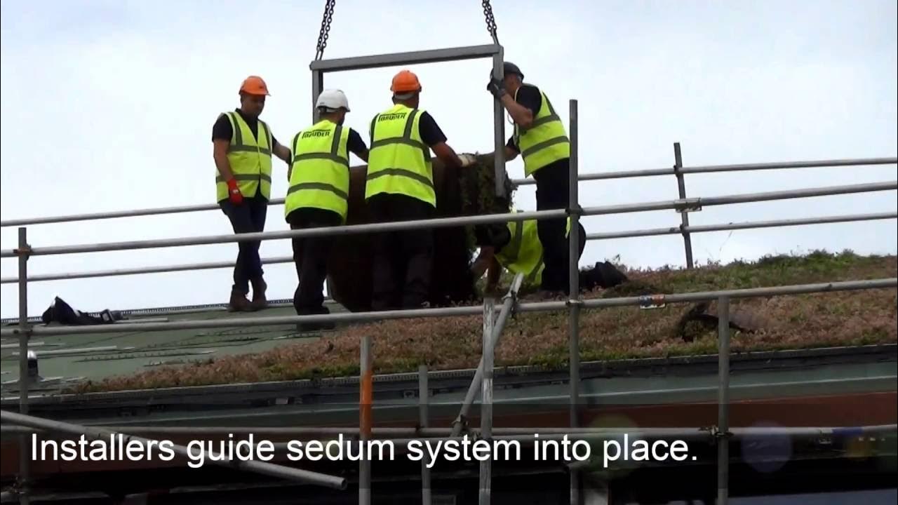 rolls of sedum blanket being installed on a pitched roof