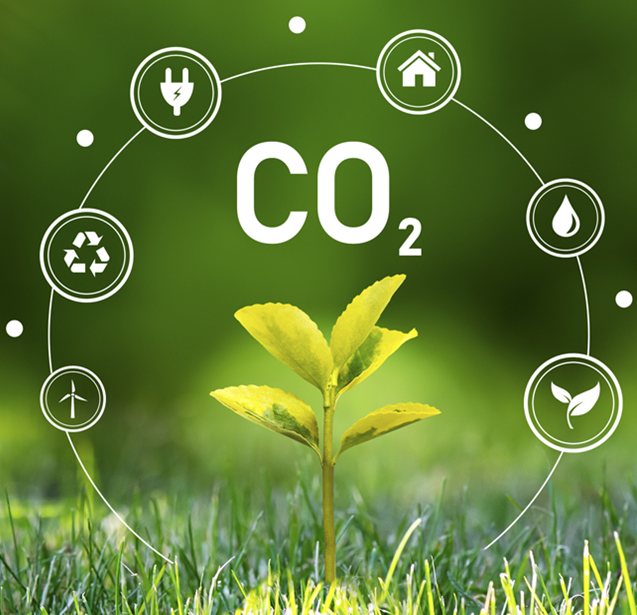 Organisational Carbon Footprint Report 2023