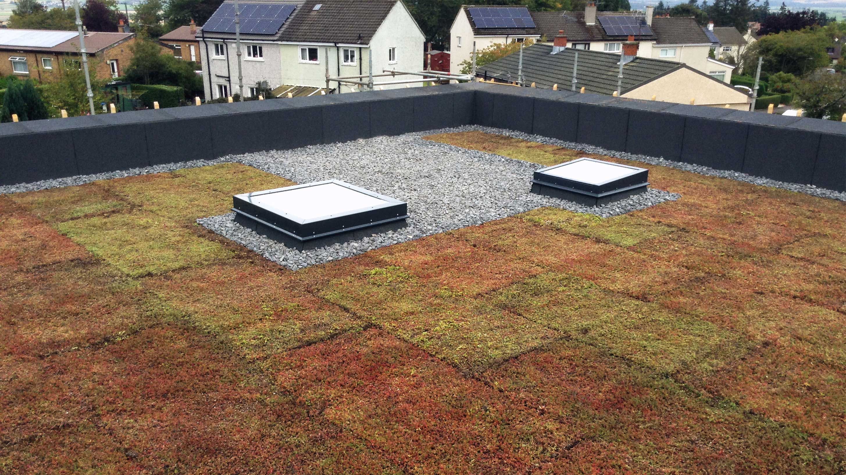 Roof of Ostro Passivhaus with Bauder Total Green Roof System installed with BauderGREEN XF 301 Sedum blanket