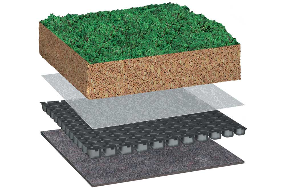 BauderEXTENSIVE SEDUMsubstrate