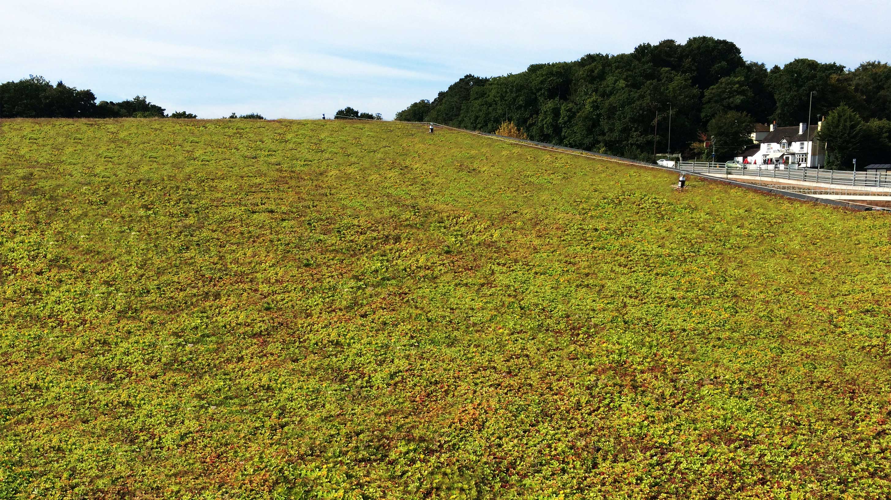 Rooftop with Bauder Total Green Roof System installed