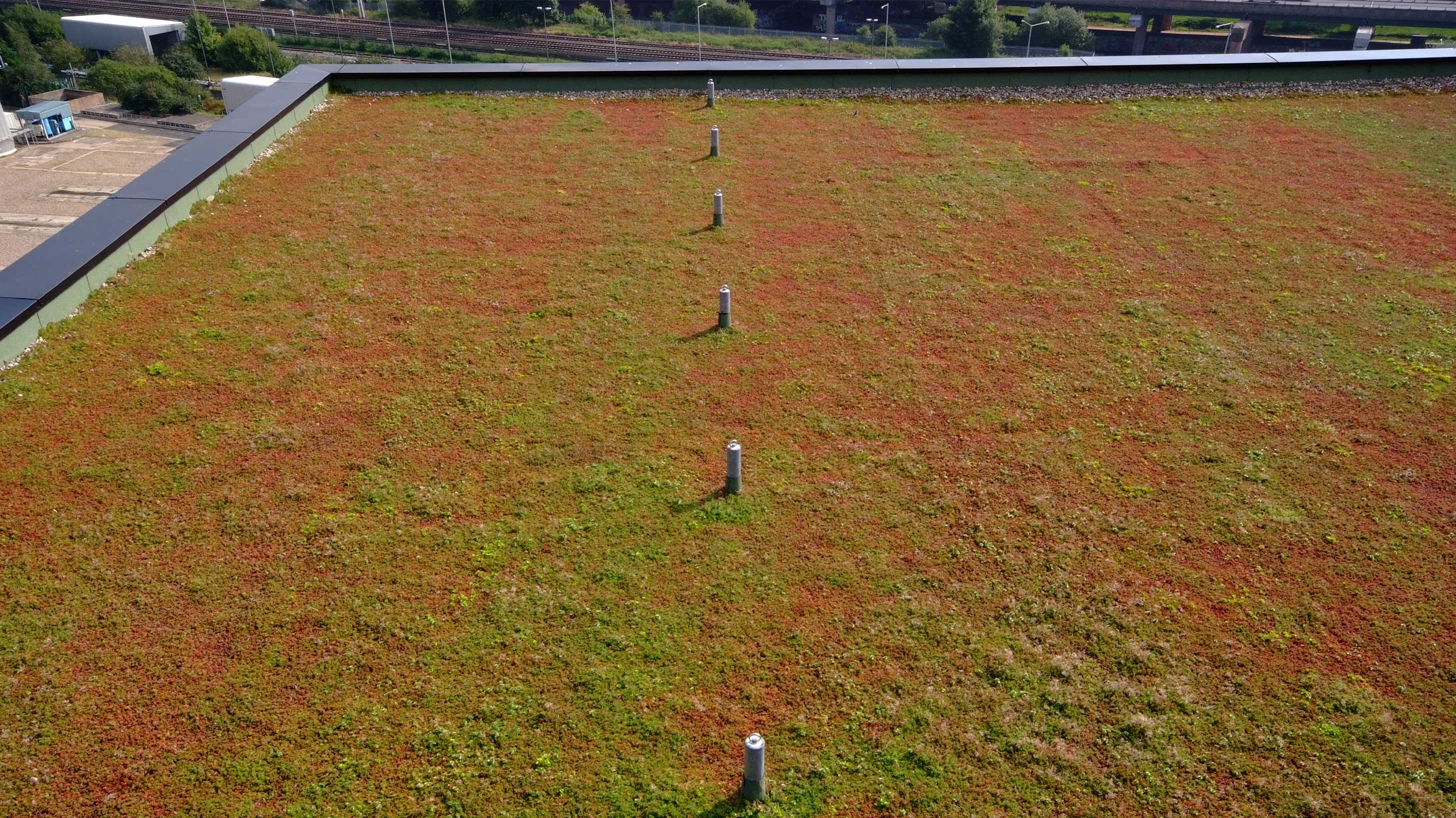 Fort dunlop with green sedum system
